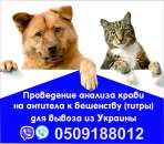 Аналіз на сказ Євродовідка для собак титри на антитіла Офіційно. Услуги для животных - Услуги