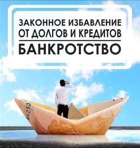 Банкротство физических лиц в России - изображение 1