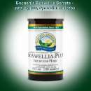 Босвелія Boswellia Serrata NSP - для судин, суглобів та кісток. Красота и здоровье - Покупка/Продажа