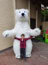 Білий Ведмедик Гіганських розмірів Аніматор на експрес привітання. Видео и фотосъемка - Услуги
