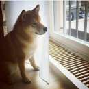 Внутрипольные конвекторы, теплый пол, кондиционеры — РАСПРОДАЖА!!!