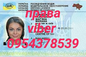 Водительские права купить с нуля Киев Украина. Добавить категорию. Продлить - изображение 1