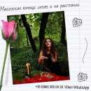 Гадание на картах Таро. Магические услуги.