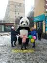 Гигантская Панда (2,6м). Поздравление с днём рождения. Услуги аниматора - изображение 2