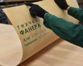 Гнучка фанера СЕЙБА 2500 х 1220 мм, 1220х2500 мм / 2 мм, 3 мм, 5 мм, 10 мм