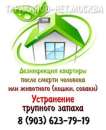 Дезинфекция квартиры после болезни (смерти) человека или животного.. Бытовой ремонт - Услуги