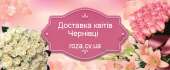 Доставка квітів Чернівці. Торжества, развлечения - Услуги