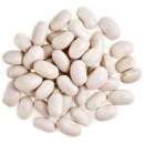 Закупка квасолі на переробку, консервування