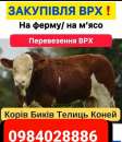 Закупівля