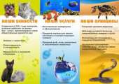 Зоомагазин "Питомец". Домашние животные - Покупка/Продажа