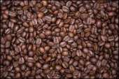 Импортер и производитель кофе в России Franz Coffee Company. Опт и мелкий опт - Покупка/Продажа