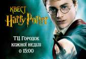 Командный квест для детей «Гарри Поттер и магический дневник» в ТЦ Городок. общество, путешествия - Разное