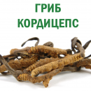 Кордицепс Fohow: отзывы врачей, инструкция, применение и дозы. Продам/Куплю бизнес - Покупка/Продажа