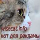 Кот для рекламы. Прочие услуги - Услуги