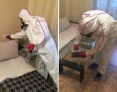 Ликвидация клопов . Дератизация.. Продам/Куплю бизнес - Покупка/Продажа