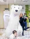 Надувний костюм «Білий Ведмідь» від виробника.