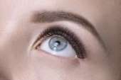Наращивание ресни/Ламинирование/Lash Botox. Красота, здоровье - Услуги