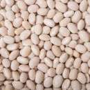 Насіння квасолі. Доставка. Форвардні контракти