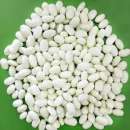 Насіння, посівмат квасолі сортів Неві Бінс, Червона довга, Пінто, Червона Шапочка.