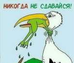 Не пропусти. Продам/Куплю бизнес - Покупка/Продажа