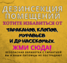 Обработка помещений от насекомых - Омск и Обл. Продам/Куплю бизнес - Покупка/Продажа