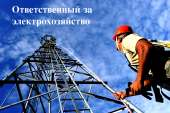 Ответственный за электрохозяйство по договору. Услуги для бизнеса - Услуги