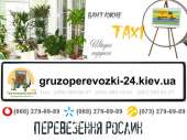 Перевезення рослин Київ. Перевозки - Услуги