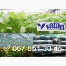 Плівка теплична 150, 60, 40 мкм Vatan Plastik виробник Туречина. Растения - Покупка/Продажа