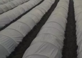 Плівка теплозберігаюча 40 мкм Vatan Plastik
