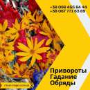 Приворот в Киеве. Личный Прием. Любовная магия.