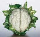 Прогноз предсказание Одесса. Прочие услуги - Услуги