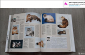 Продается PDF энциклопедия о кошках. Продам/Куплю бизнес - Покупка/Продажа