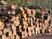 Перейти к объявлению: Продам дрова мішані, торфобрикет паливний для опалення Луцьк
