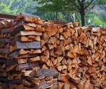 Продам дрова твердих порід дерева - изображение 2