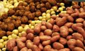 Продам картофель посевной (посадочный). Все для дома - Покупка/Продажа