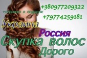 Перейти к объявлению: Продать волосы Николаев.
