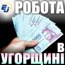 Работа в Венгрии. Бесплатная вакансия и документы!. работа за рубежом - Работа