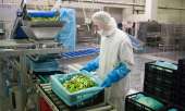 Работа в Германии: овощной склад, 11.3 евро в час нетто.. работа за рубежом - Работа
