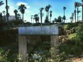 Работа за границей, Израиль. работа за рубежом - Работа