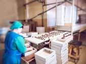 Перейти к объявлению: Рабочие на кондитерскую фабрику в Австрии