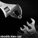 Ремонт и ТО: Audi, Seat, Skoda, Volkswagen. Skodik - автосервис, сто.. Запчасти, аксессуары - Авто. Мото. Транспорт