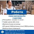 Робота на харчовому виробництві з безкоштовним проживанням у с. Щасливе. производство - Работа