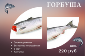 Рыба Морепродукты. Продам/Куплю бизнес - Покупка/Продажа