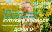 Скупка волос в Киеве. Куплю волосы дорого без посредников. Салон в центре или минский массив. Красота и здоровье - Покупка/Продажа