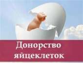 Сотрудничаем с желающими стать суррогатными мамами и донорами яйцеклеток. другие сферы занятий - Работа
