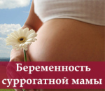 Стать донором яйцеклетки. другие сферы занятий - Работа