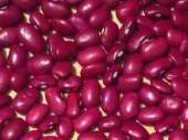 ТОВ Бінс Натур Продукт: сортова квасоля оптом