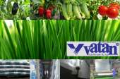 Перейти к объявлению: Теплична плівка Vatan Plastik турецького виробництва. Плівка для теплиць