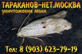 Травля, выведение тараканов, мукоедов, блох, постельных клопов.. Прочие услуги - Услуги