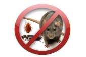 Перейти к объявлению: Уничтожение клопов тараканов всех насекомых грызунов и паразитов в Москве
